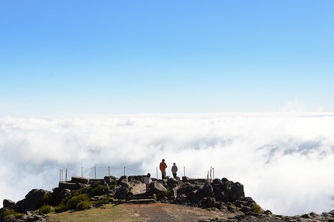 Safari 4x4 Pico Arieiro Santana in Small Group "FlowerEAST" - Price and value: $78.61 for a full East Madeira circuit