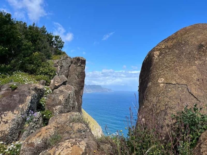 Santana: 4x4 Full-Day Tour to Northeast of Madeira Island - Key Highlights You Should Not Miss