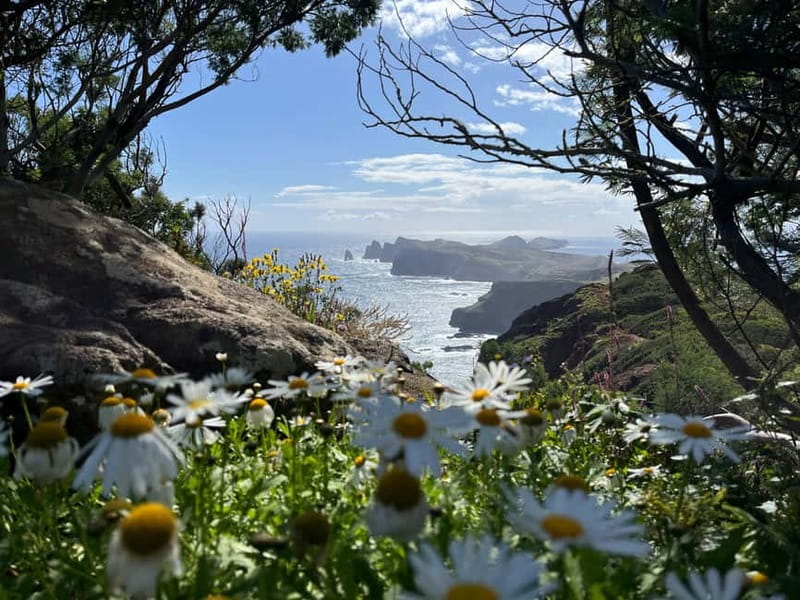 Santana: 4x4 Full-Day Tour to Northeast of Madeira Island - Planning Your Route: From Machico Out to the Far Northeast
