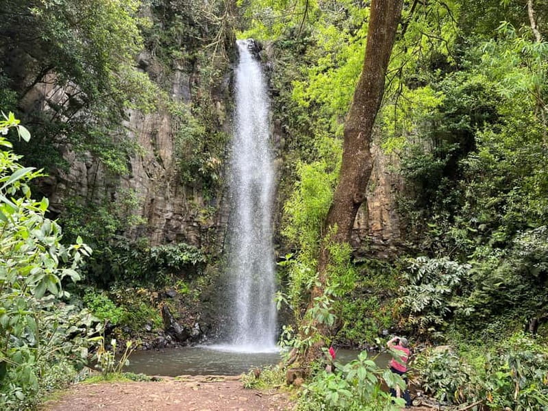Santana: 4x4 Full-Day Tour to Northeast of Madeira Island - Who This Santana 4x4 Tour Fits Best