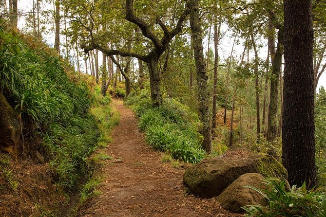 SANTANA Combo Expedition (Jeep & Levada Walk) - Shared Tour - Pico do Arieiro: short visit, big altitude payoff