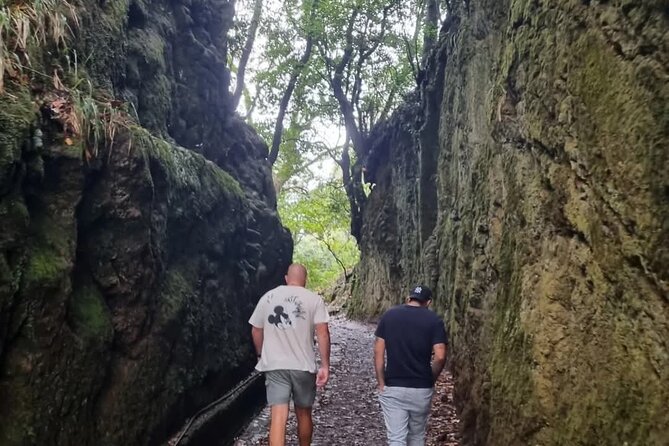 Scenic Hiking and Rum Tasting Experience - Porto da Cruz rum factory: sightseeing break and tasting