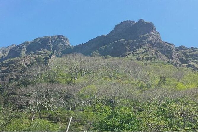 Scenic Route - Nuns Valley Tour - Who This Tour Suits Best