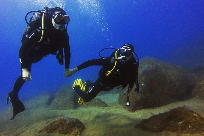 Scuba Diving Experience in Madeira - Price and value: what you get for $50.81