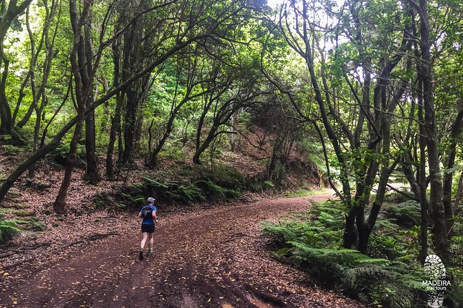 Sea 2 Mountain Running Tour (Moderate-Hard) - From Funchal to the forest, with the ocean as your soundtrack