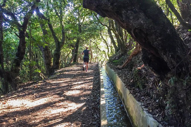Sea 2 Mountain Running Tour (Moderate-Hard) - Vereda do Larano: the named moment in the run