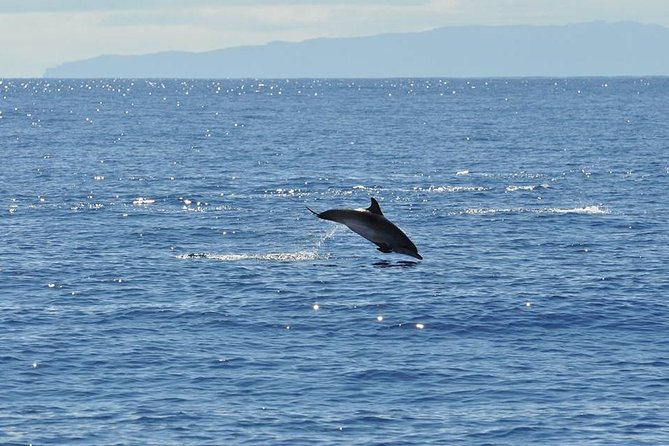 Seaborn Catamaran trips - Onboard comfort, bar service, and sea conditions