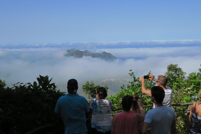 Shore Excursion - East Madeira Peaks & Santana - The guides: humor and island talk that make the drive worth it