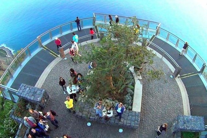Signature Wine Tastings, Skywalk, Nature 4x4 Open Roof Expedition - Madeira’s wine and road trip vibe, in plain terms