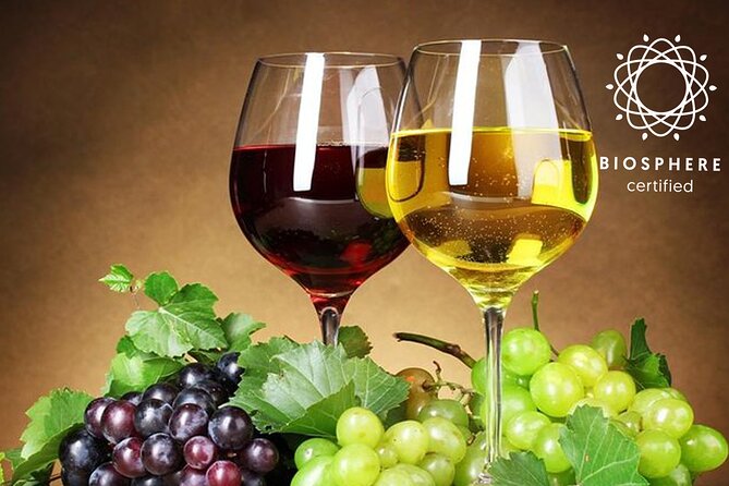 Signature Wine Tastings, Skywalk, Nature 4x4 Open Roof Expedition - 9:00 am pickup in Funchal: how to avoid stress