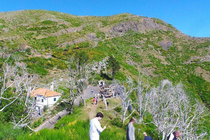Skywalk, Amazing Views & Wine Tasting in Open Roof 4x4 Adventure - Value for money in Madeira: included vs extra costs