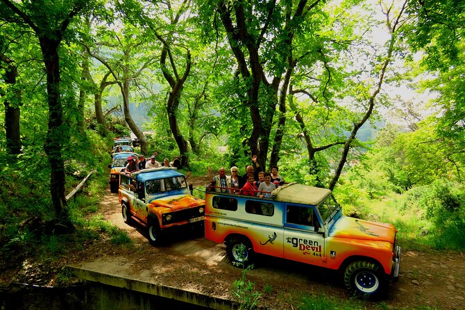 Skywalk, Vineyards, Landscapes and 4x4 Experience in Madeira - Estreito de Câmara de Lobos: Grapes, Wine, and the Role of Levadas