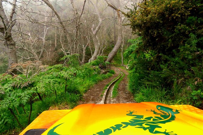 Skywalk, Vineyards, Landscapes and 4x4 Experience in Madeira - Timing and Pacing: Getting the Most From Short Stops