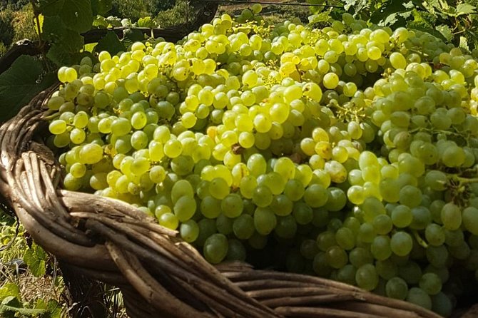 Skywalk with Wines Tasting and Vineyards Half day 4x4 Adventure - What is included in your half-day, and what is not