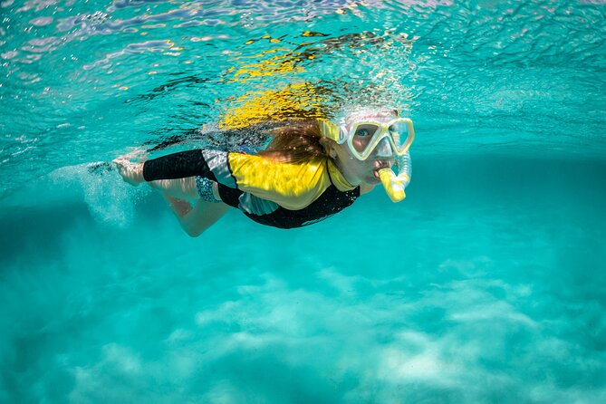 Snorkelling Trip at Ponta de São Lourenço Protected Area - Key things that make this snorkeling trip worth it