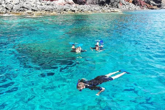 Snorkelling Trip at Ponta de São Lourenço Protected Area - The snorkel stop in the marine reserve: what you’ll likely see
