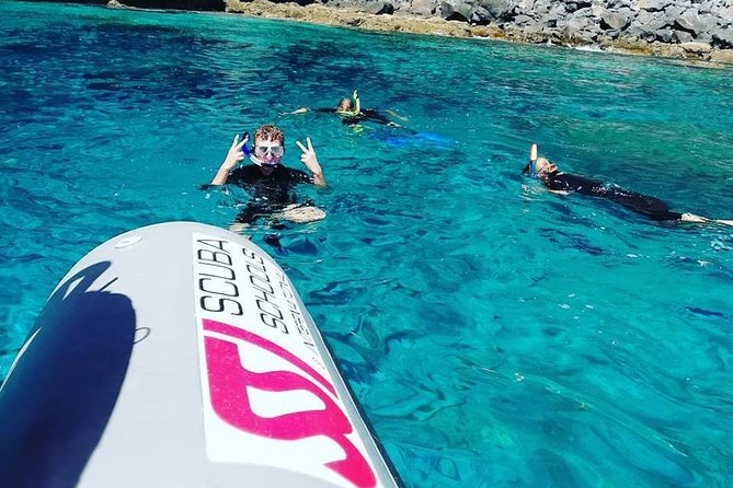 Snorkelling Trip at Ponta de São Lourenço Protected Area - Price and value: why $42.24 can feel like a bargain here