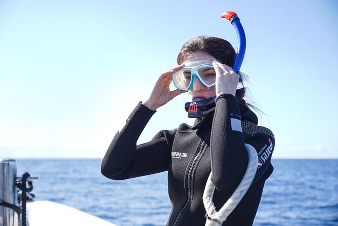 Snorkelling Trip at Ponta de São Lourenço Protected Area - Who this trip fits best (and who might want to choose a different day)