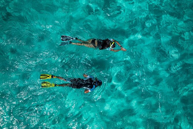 Snorkelling Trip at Ponta de São Lourenço Protected Area - The 2:30 pm plan: timing, meeting spot, and how long it really takes