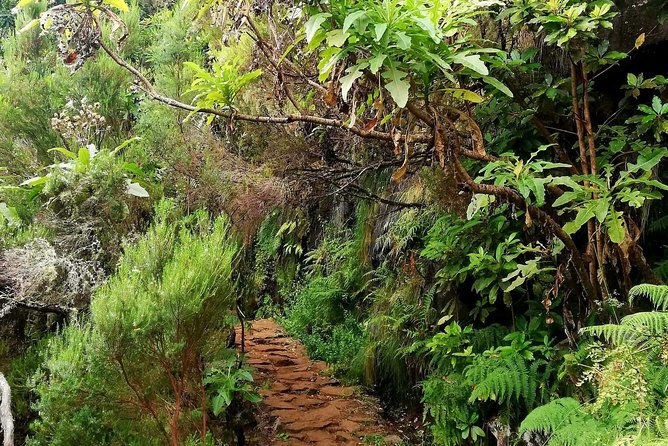 The Lakes Walk - Paul da Serra Sets the Tone for This Half-Day Walk