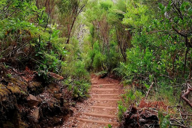 The Lakes Walk - Hotel Pickup in Funchal: Nice When You Do Not Have a Car
