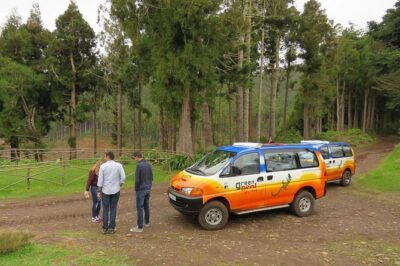 traditional Farmers Market Open 4X4 Half Day Tour