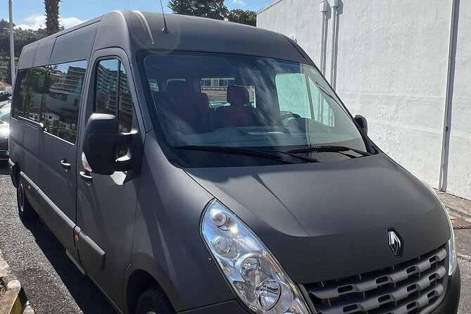 Transfers DE arrival or DE departure to Funchal and Airport - Why this Funchal airport transfer feels manageable