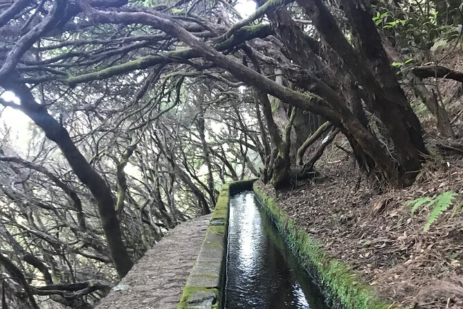 Twenty-Five Fountains Levada walks (private) - A private 25 Fountains and Risco walk, planned around real crowds