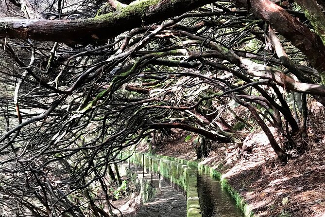 Twenty-Five Fountains Levada walks (private) - Stop one: 25 Fontes and Cascada da Risco