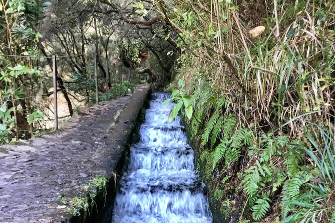Twenty-Five Fountains Levada walks (private) - Guide quality: why the names Pablo and Paulo Jesús keep showing up