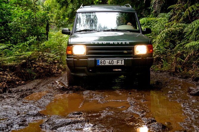 Unveil West Madeira: 4x4 Cliffs, Pools & Views - Why West Madeira by 4x4 feels different from coach day trips