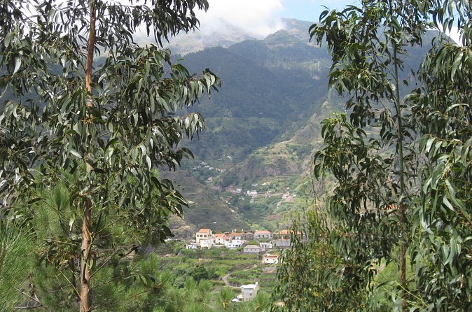Vale da Serra d'Água (Half Day Walk) - Pickup and small-group flow from Funchal, Caniço, and Camara de Lobos