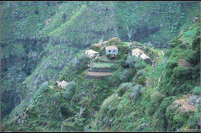 Vale da Serra d'Água (Half Day Walk) - Guiding style in Serra d’Água: fauna, flora, and safety-first pacing