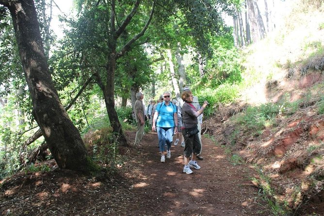 Vale Paraíso - Rochão (Half Day Walk) - Key highlights worth planning for