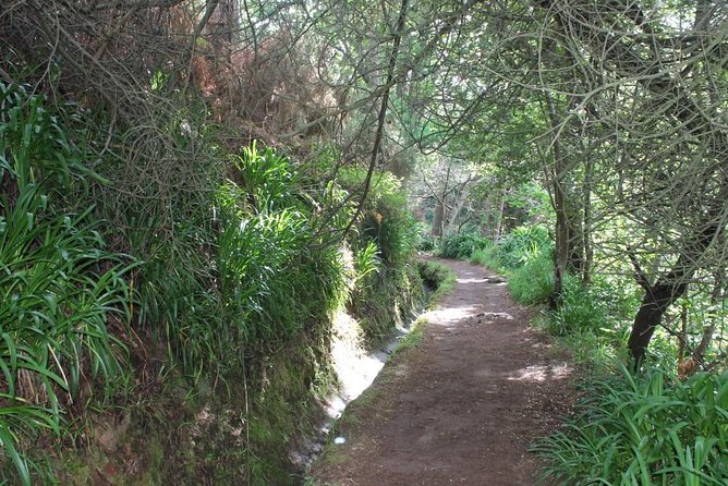 Vale Paraíso - Rochão (Half Day Walk) - Vale Paraíso - Rochão: a calm half-day escape above Funchal