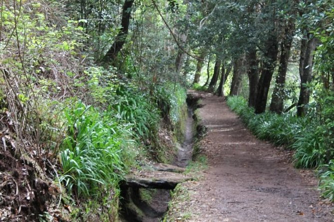 Vale Paraíso - Rochão (Half Day Walk) - Cultivated fields and Madeira farming traditions along the way