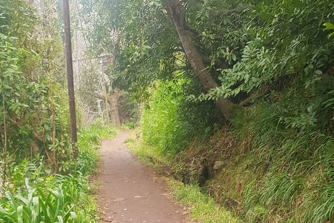 Vale Paraíso - Rochão (Half Day Walk) - Yulia and the guides style: practical commentary that keeps you engaged
