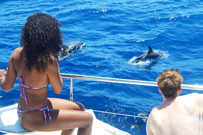 VipDolphins Luxury Whale Watching - The catamaran setup, space, and the 17-person difference