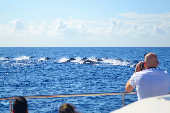 VipDolphins Luxury Whale Watching - The Cabo Girao swim stop: snorkeling gear and the ladder test