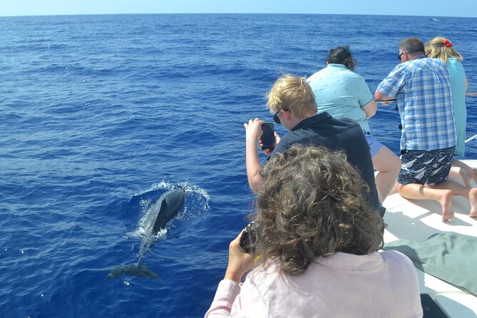 VipDolphins Luxury Whale Watching - Snacks, drinks, and what “luxury” looks like here