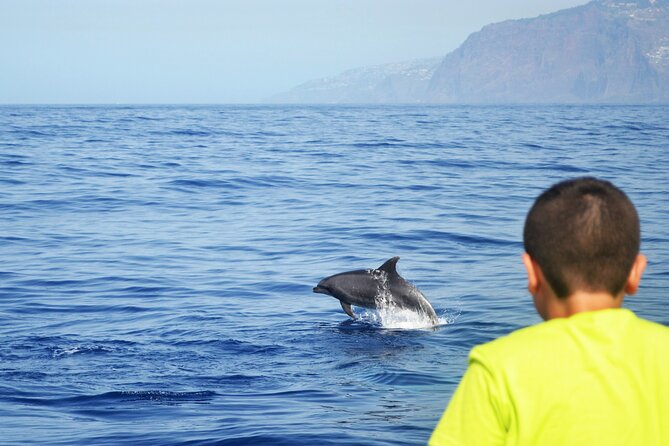VipDolphins Luxury Whale Watching - Crew attention and comfort details you will care about