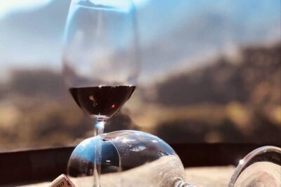 Visiting local Vineyard With Wine Tasting & Lunch included