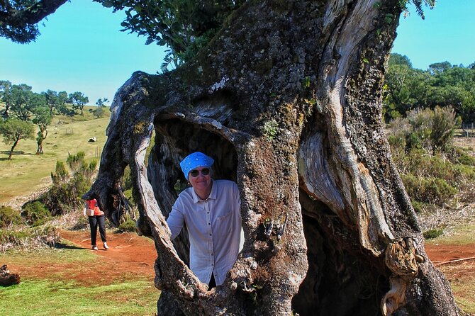 Volcanic Pools and Northwest 4WD Full Day Tour - Estanquinhos and Fanal: the in-between moments that make the day feel like an adventure
