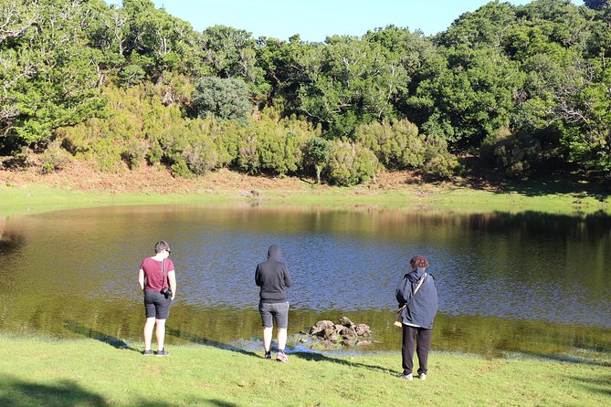 Volcanic Pools and Northwest 4WD Full Day Tour - Porto Moniz Natural Swimming Pools: volcanic water, 45 minutes, bring your swimsuit