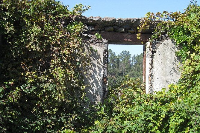 Walk - Vale Das Mimosas - How the 4-Hour Schedule Feels on the Ground
