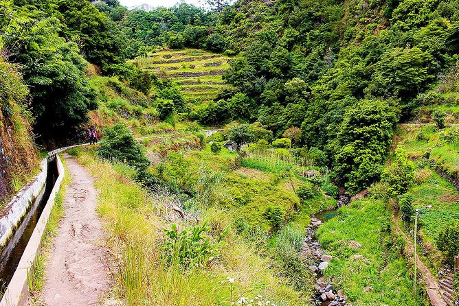 Walk - Vale Das Mimosas - Guide Style and the Vegetation Learning Moment