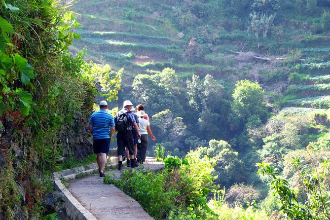 Walk - Vale Das Mimosas - Price and Value: Is $42.24 Worth It?