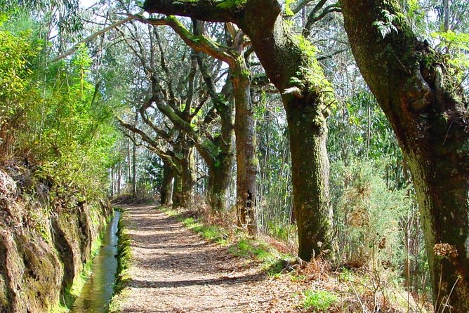 Walk - Vale Das Mimosas - Pickup From Funchal, Caniço de Baixo, and Garajau
