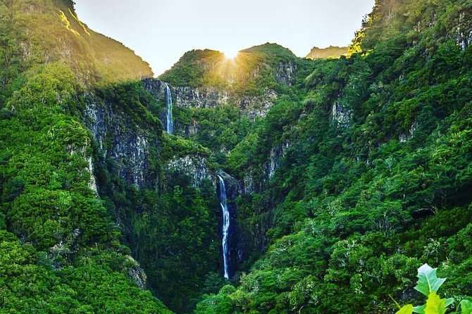 West Side Private Full Day Tours around Madeira Island - Pricing and what you actually get for $254 per group