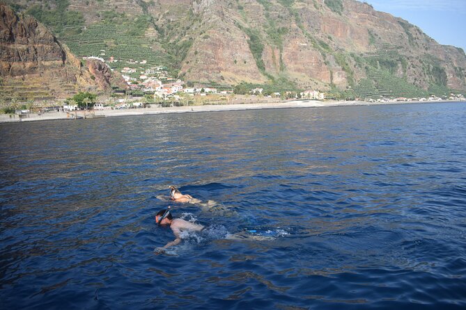 Whale and Dolphin Watching Tour in Madeira - Who should book this tour (and who should skip it)